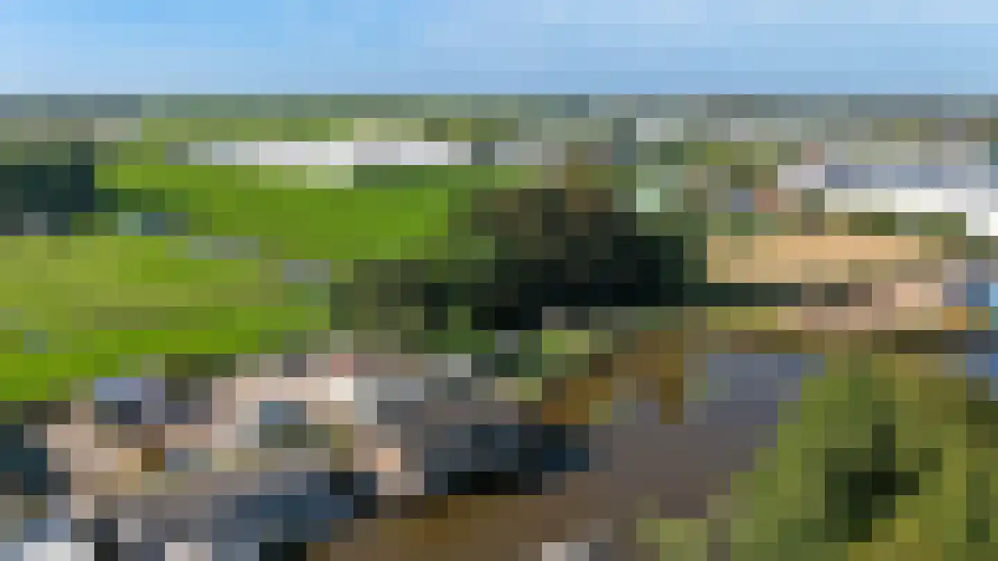 Hoekse Aar 100 Ter Aar thumbnail 5