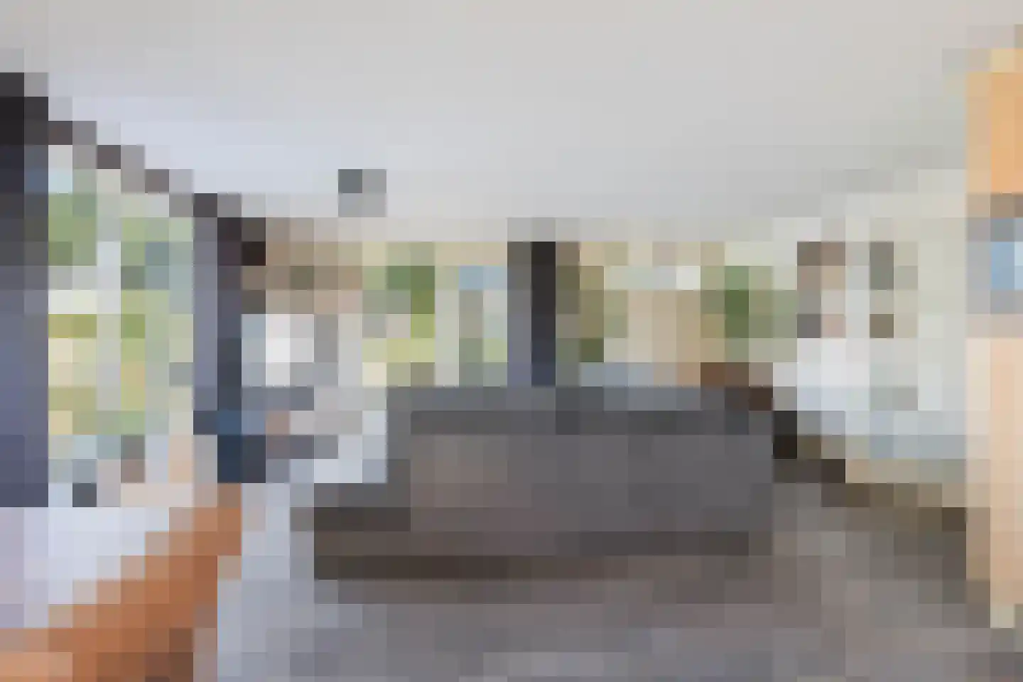 Hoekse Aar 100 Ter Aar thumbnail 7