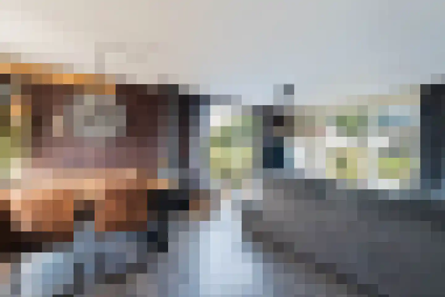 Hoekse Aar 100 Ter Aar thumbnail 8