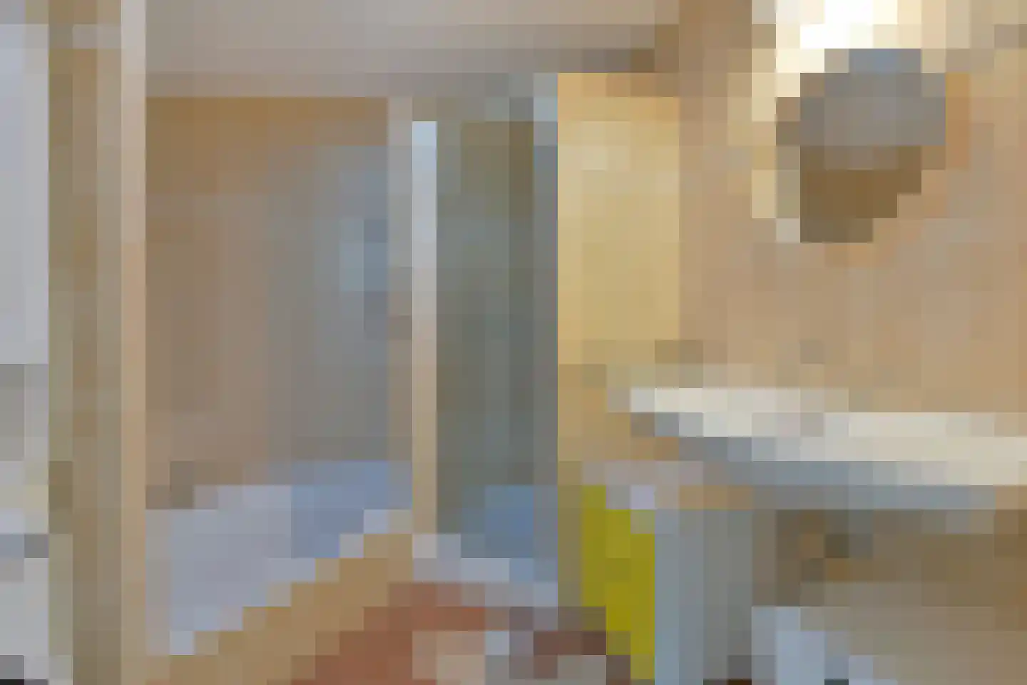 Hoekse Aar 102 Ter Aar thumbnail 16