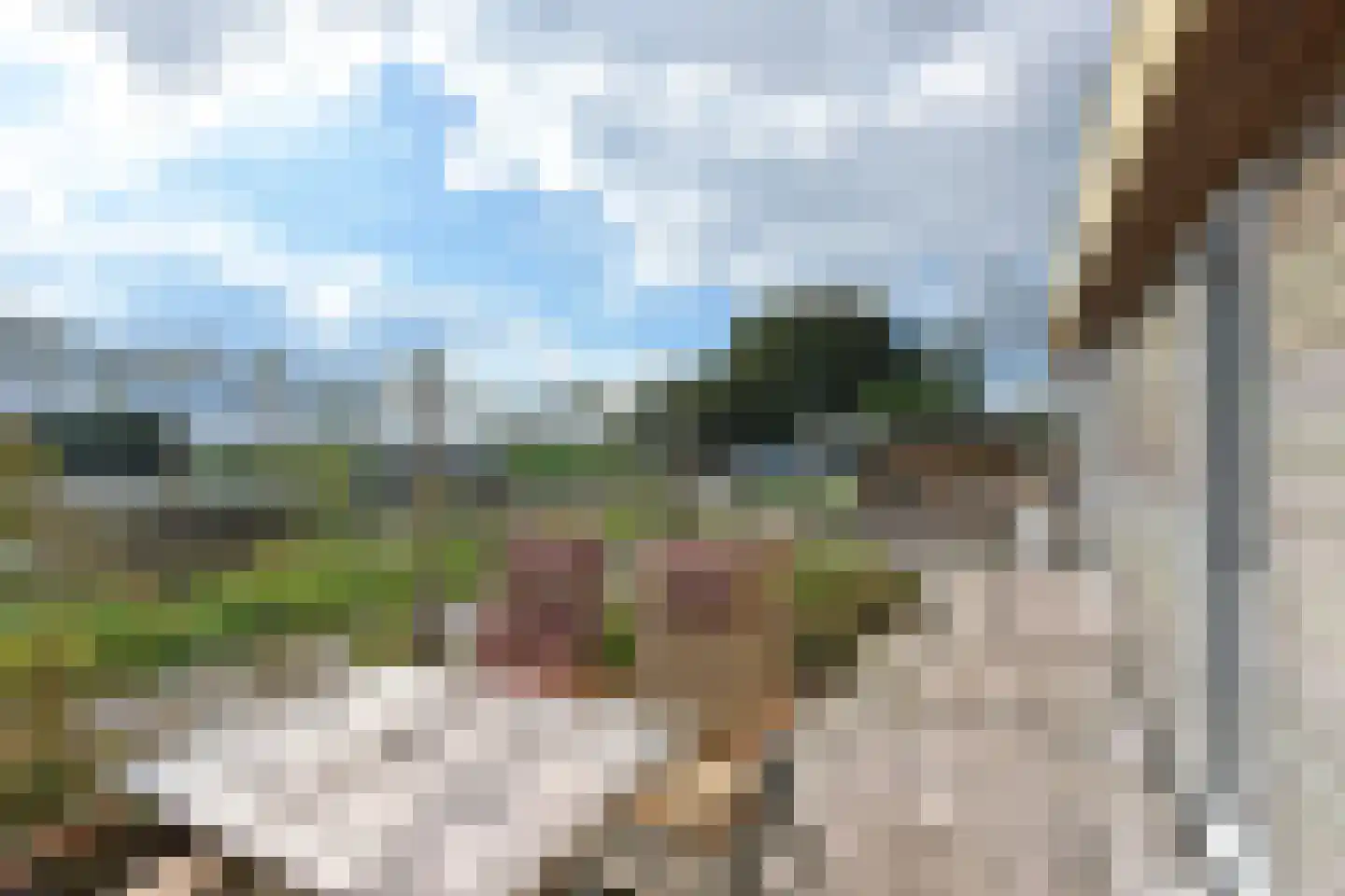 Hoekse Aar 102 Ter Aar thumbnail 21