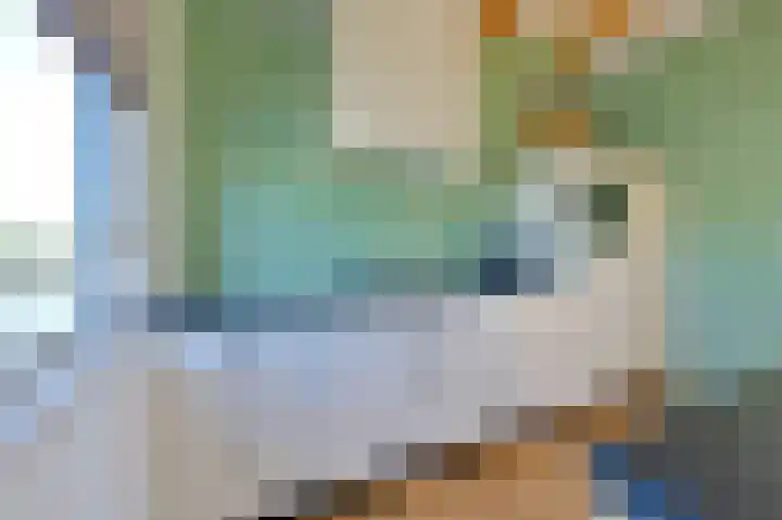 Hoekse Aar 107 Ter Aar thumbnail 11