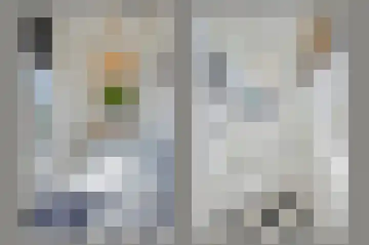 Hoekse Aar 107 Ter Aar thumbnail 15