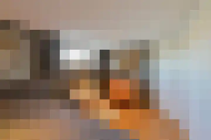 Hoekse Aar 107 Ter Aar thumbnail 16