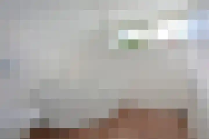 Hoekse Aar 107 Ter Aar thumbnail 20