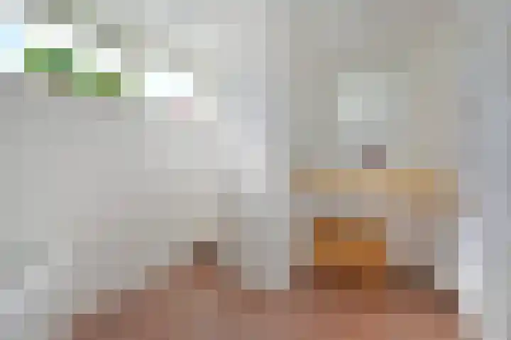 Hoekse Aar 107 Ter Aar thumbnail 21