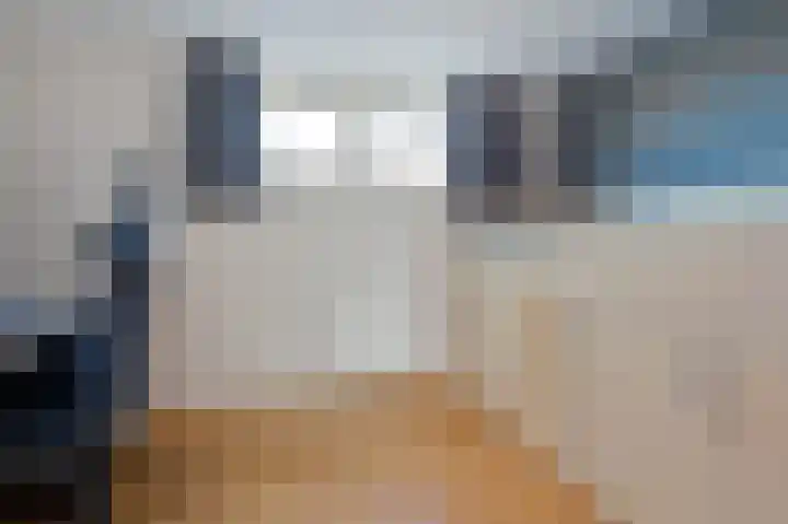 Hoekse Aar 107 Ter Aar thumbnail 22