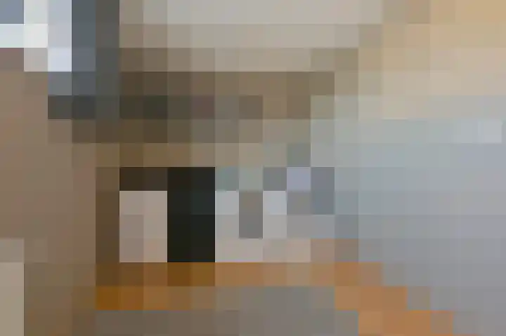 Hoekse Aar 107 Ter Aar thumbnail 23