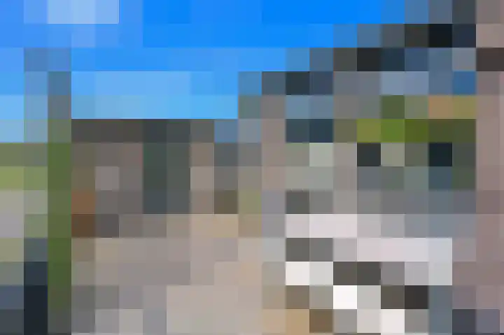 Hoekse Aar 107 Ter Aar thumbnail 24
