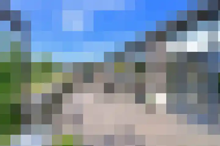 Hoekse Aar 107 Ter Aar thumbnail 25