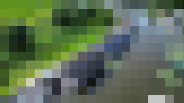 Hoekse Aar 107 Ter Aar thumbnail 35