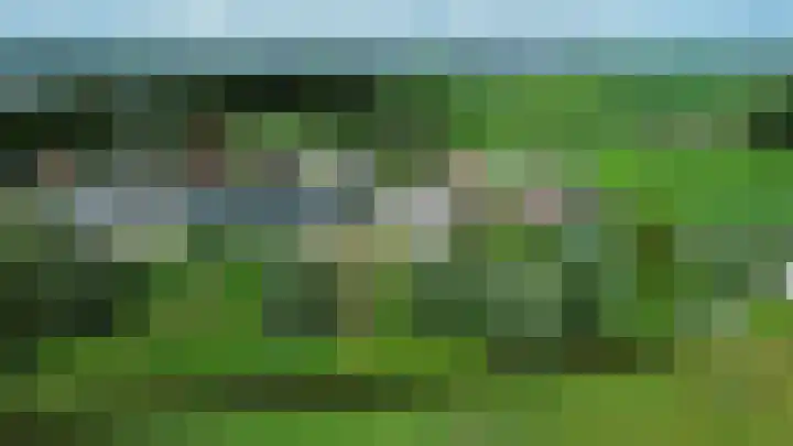 Hoekse Aar 107 Ter Aar thumbnail 36