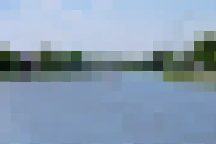 Hoekse Aar 107 Ter Aar thumbnail 37