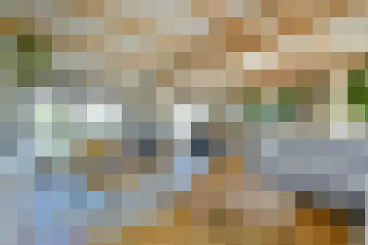 Hoekse Aar 107 Ter Aar thumbnail 4