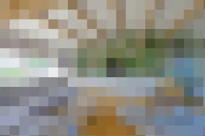 Hoekse Aar 107 Ter Aar thumbnail 6