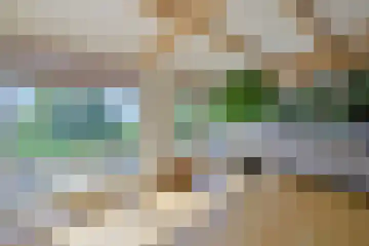 Hoekse Aar 107 Ter Aar thumbnail 8