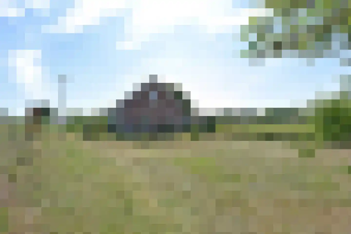 Hoekse Aarkade 12 Ter Aar thumbnail 12