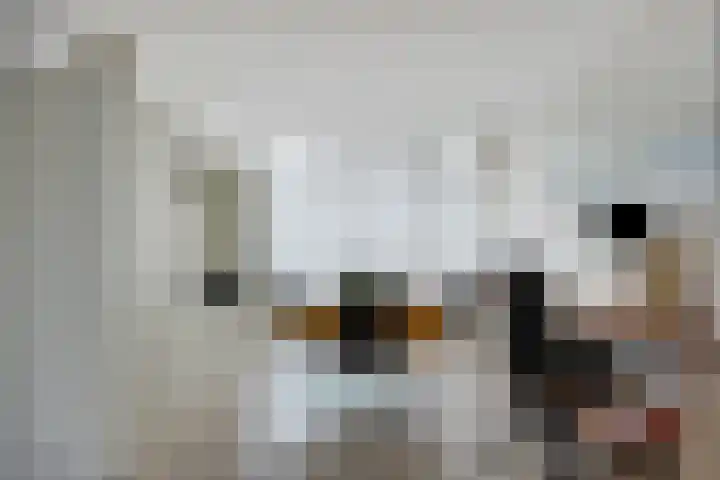 Hoekse Hillweg 103 Hoek van Holland thumbnail 14
