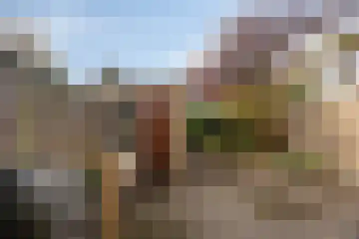 Hoekse Hillweg 103 Hoek van Holland thumbnail 31