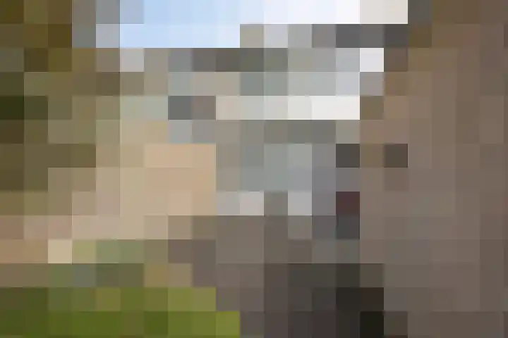 Hoekse Hillweg 103 Hoek van Holland thumbnail 5