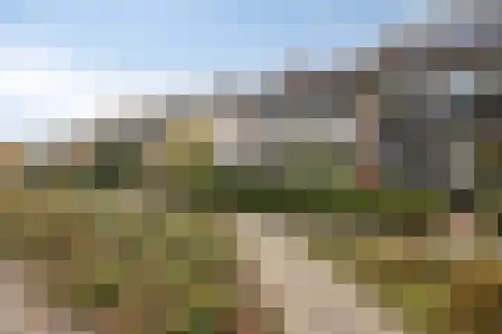 Hoekse Hillweg 103 Hoek van Holland thumbnail 7