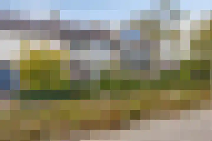 Hoekse Hillweg 103 Hoek van Holland thumbnail 8