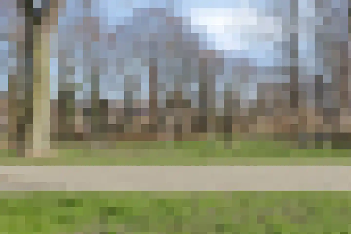 Hoekse Hillweg 199 Hoek van Holland thumbnail 35