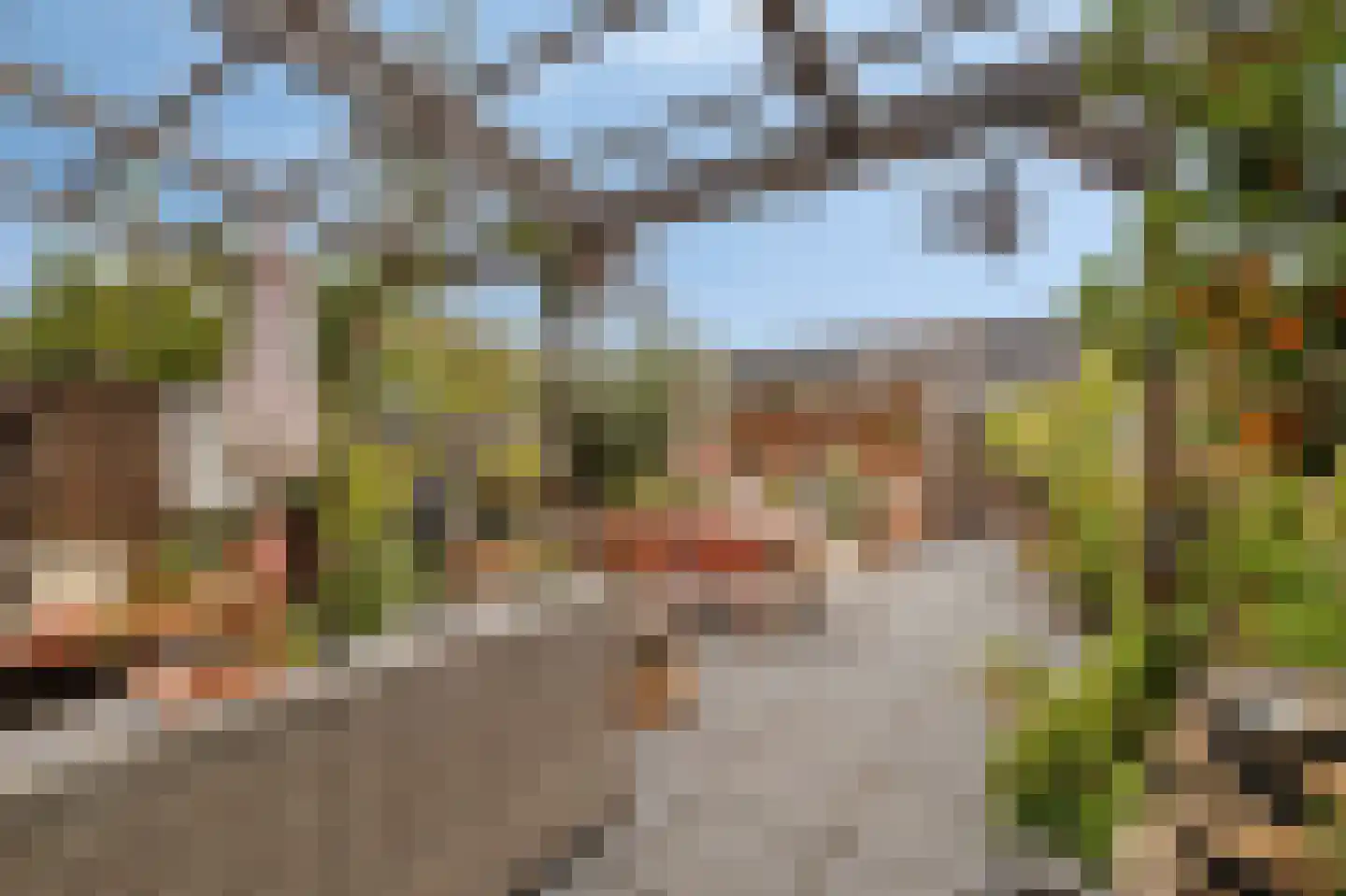 Hoekse Hillweg 201 Hoek van Holland thumbnail 38
