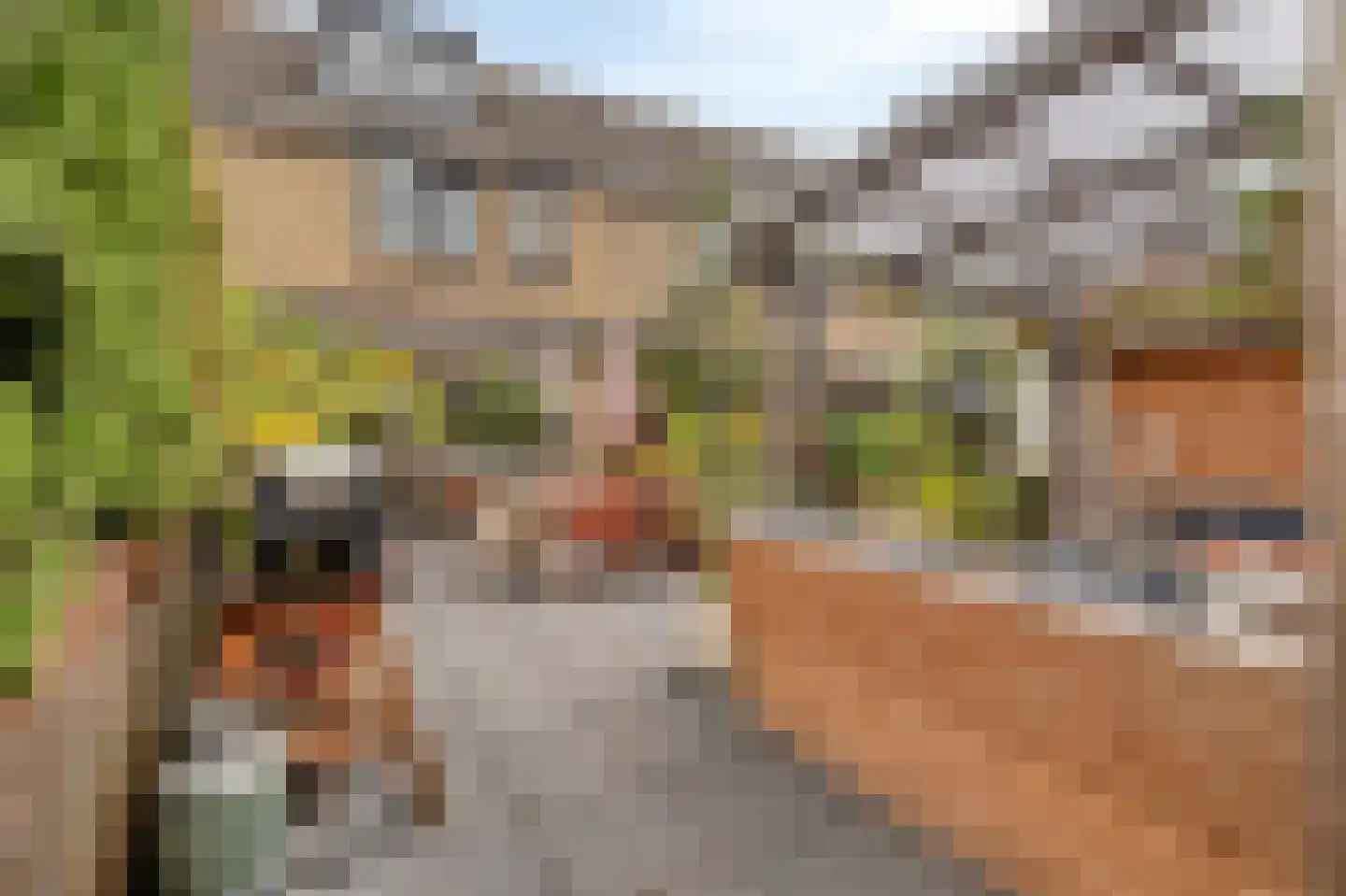 Hoekse Hillweg 201 Hoek van Holland thumbnail 5