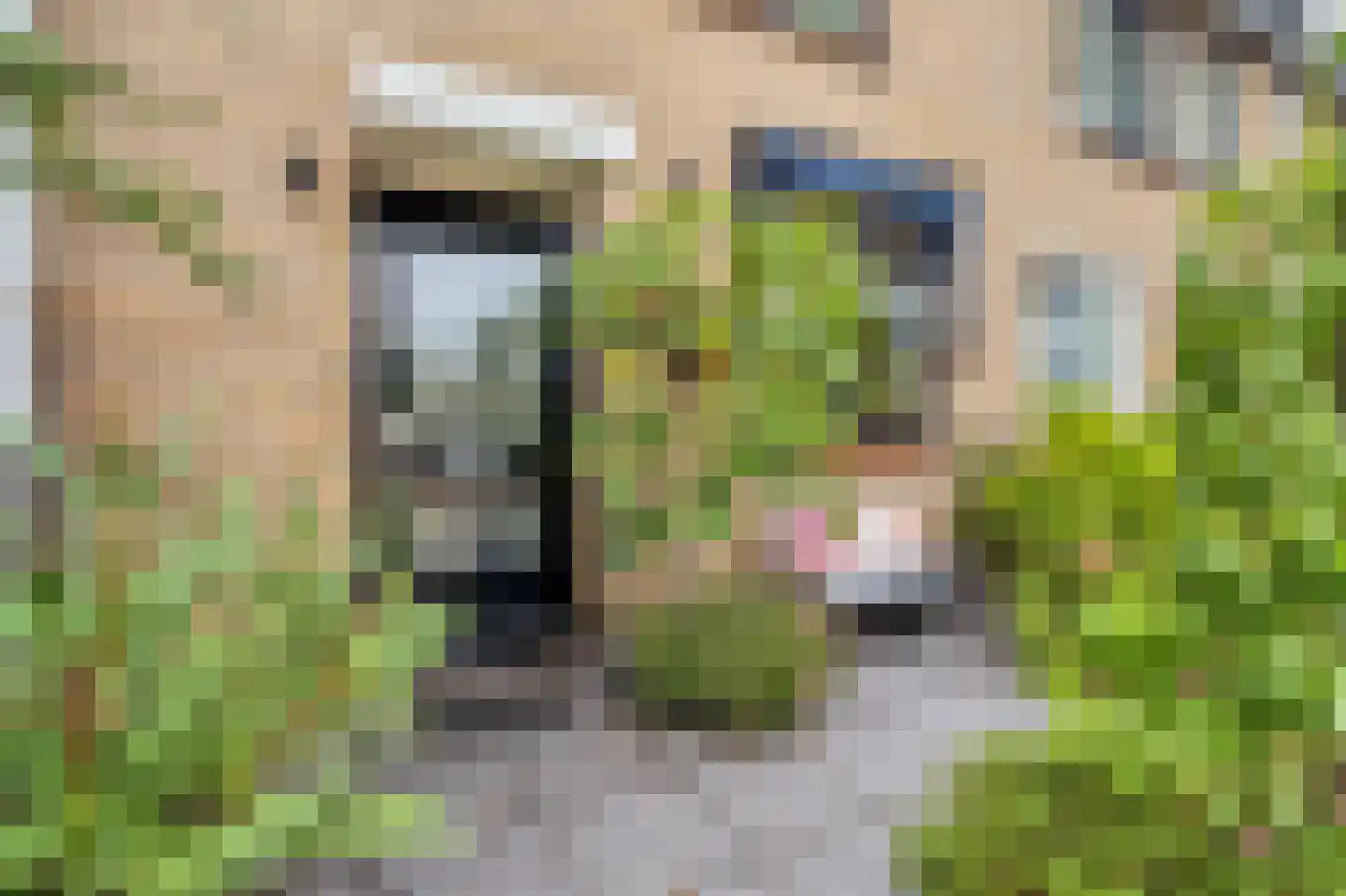 Hoekse Hillweg 201 Hoek van Holland thumbnail 8