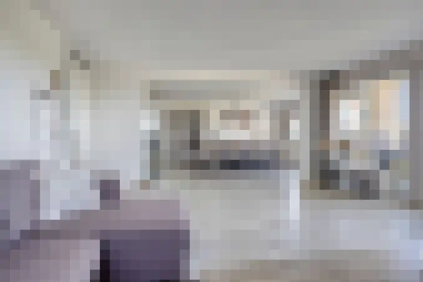 Hoekse Waard 22 Emmeloord thumbnail 10