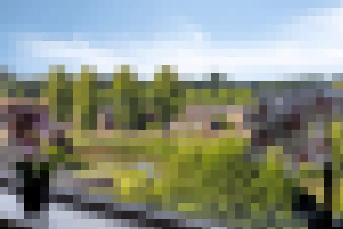 Hoekse Waard 22 Emmeloord thumbnail 14