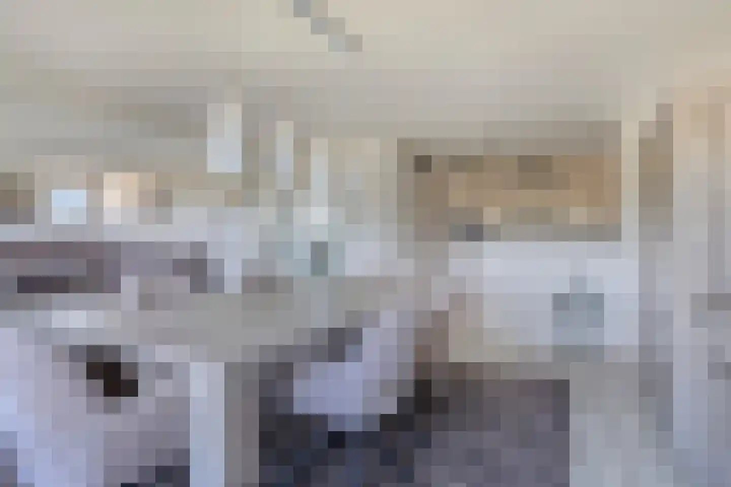 Hoekse Waard 22 Emmeloord thumbnail 15