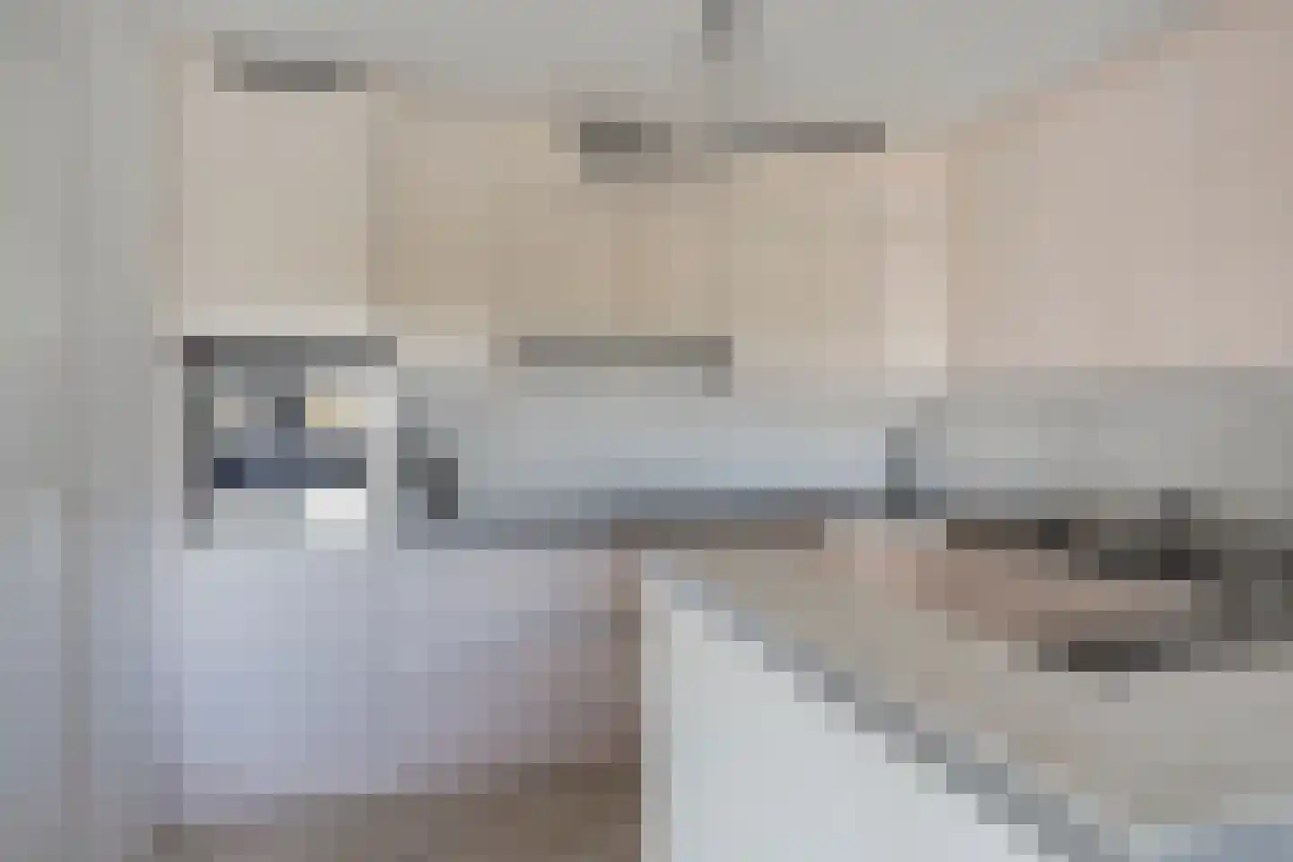 Hoekse Waard 22 Emmeloord thumbnail 16