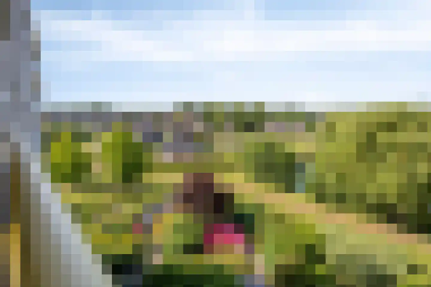 Hoekse Waard 22 Emmeloord thumbnail 22
