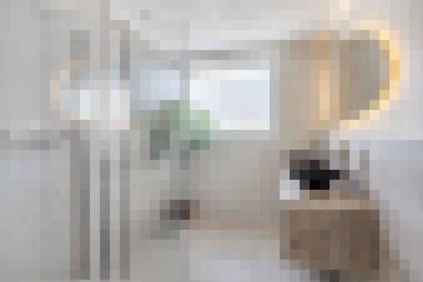 Hoekse Waard 22 Emmeloord thumbnail 26