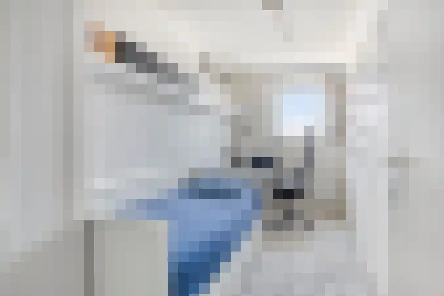Hoekse Waard 22 Emmeloord thumbnail 28