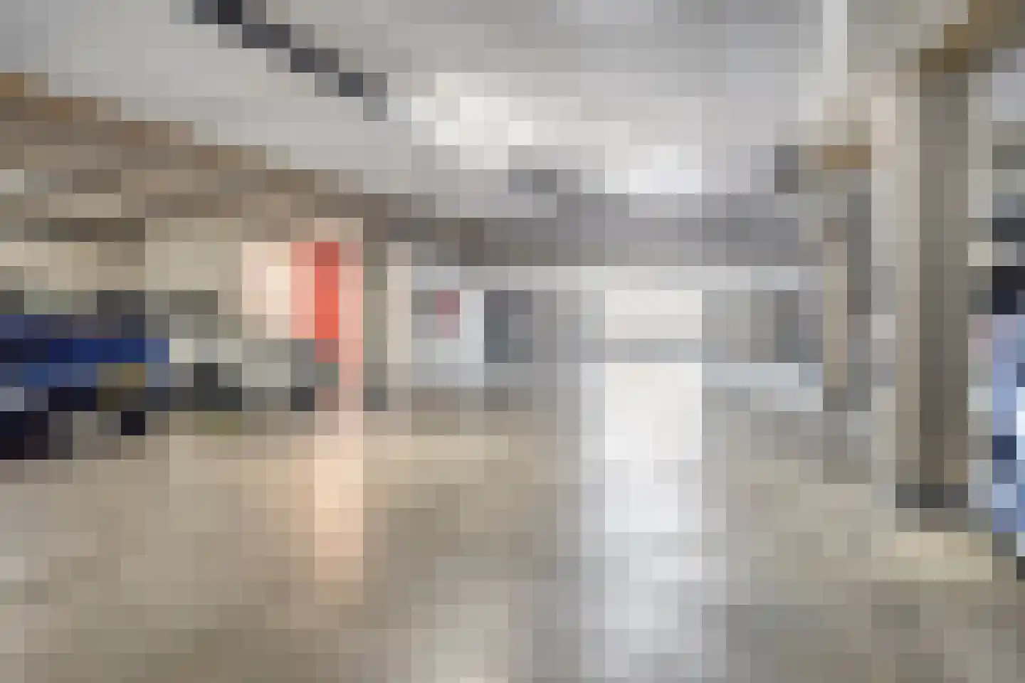 Hoekse Waard 22 Emmeloord thumbnail 35