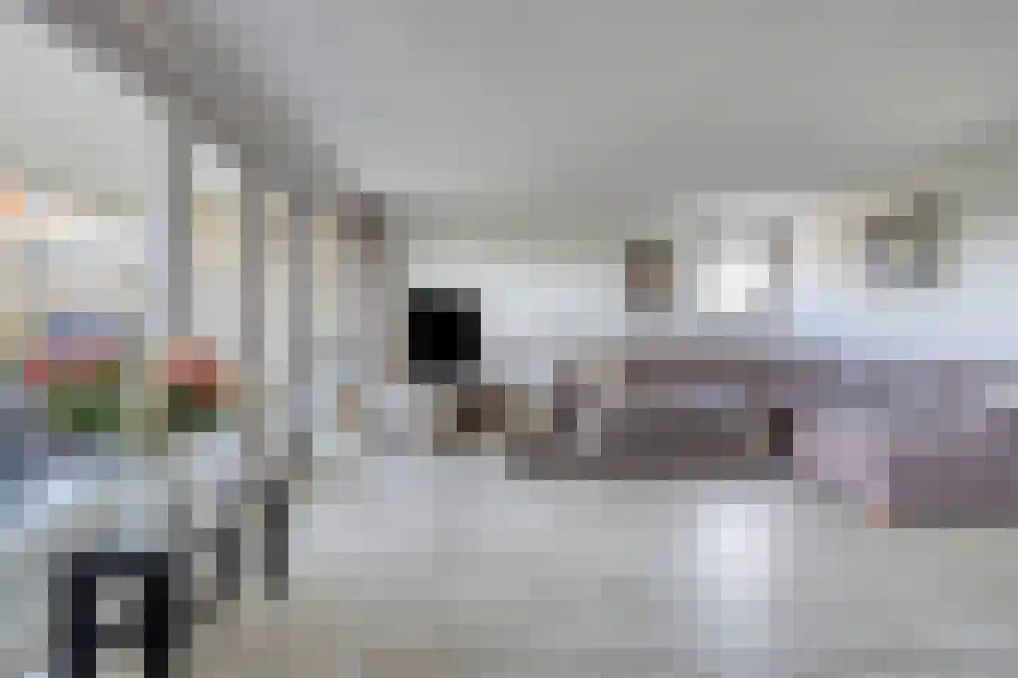 Hoekse Waard 22 Emmeloord thumbnail 9