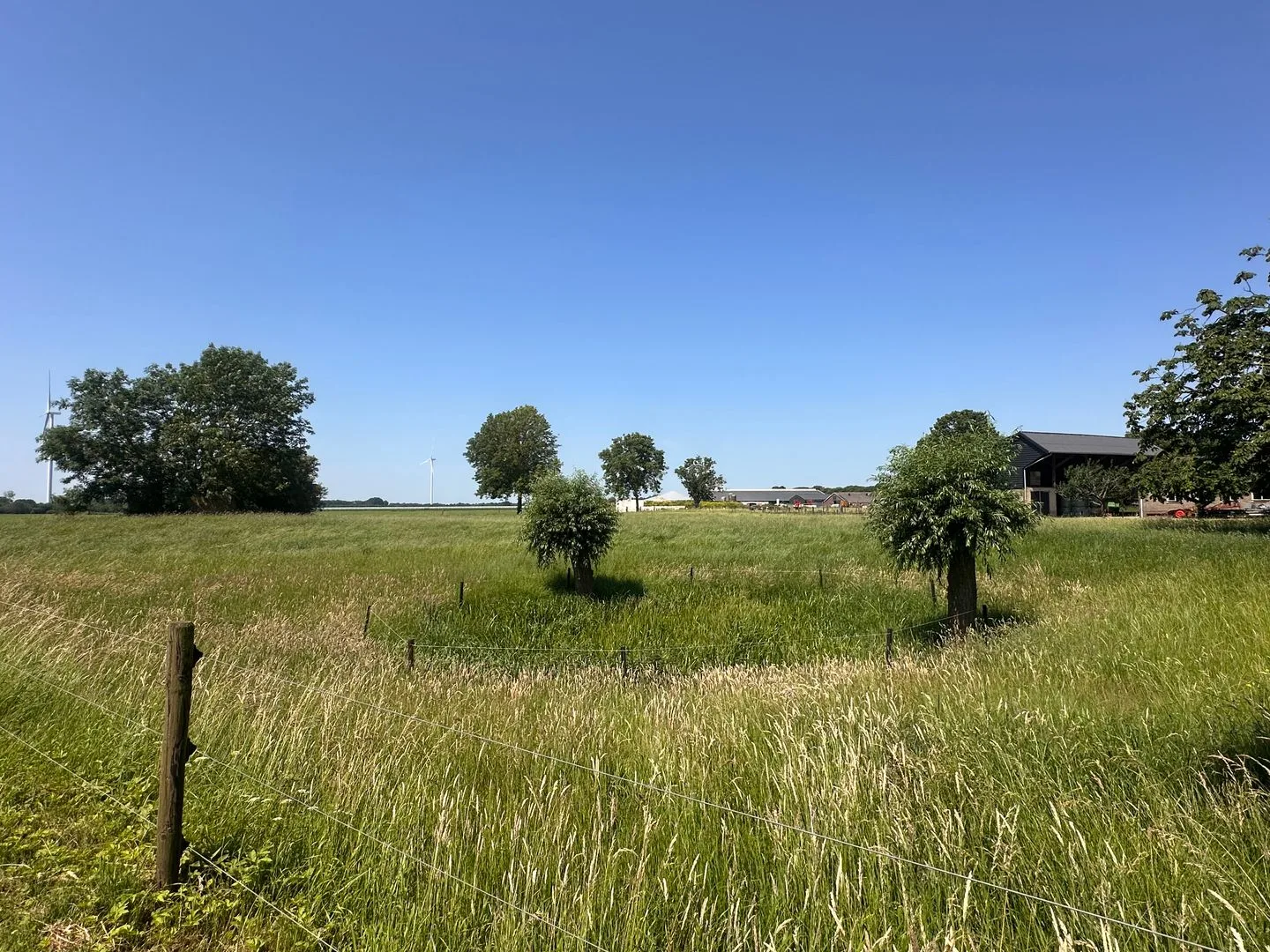 Hoeksedijk 1 Cothen thumbnail 70