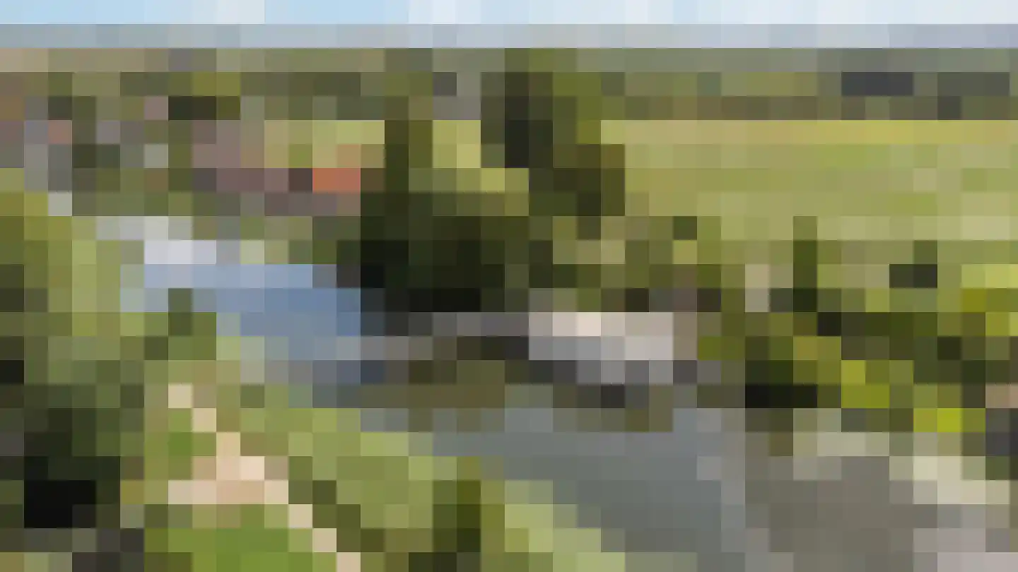 Hoeksedijk 113 A Maasdam