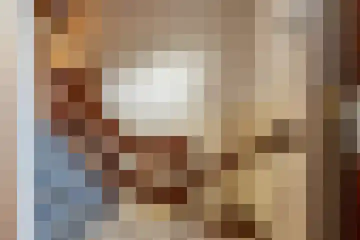 Hoeksedijk 43 Maasdam thumbnail 10
