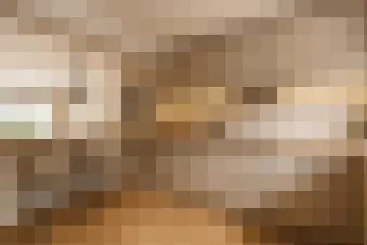 Hoeksedijk 43 Maasdam thumbnail 11
