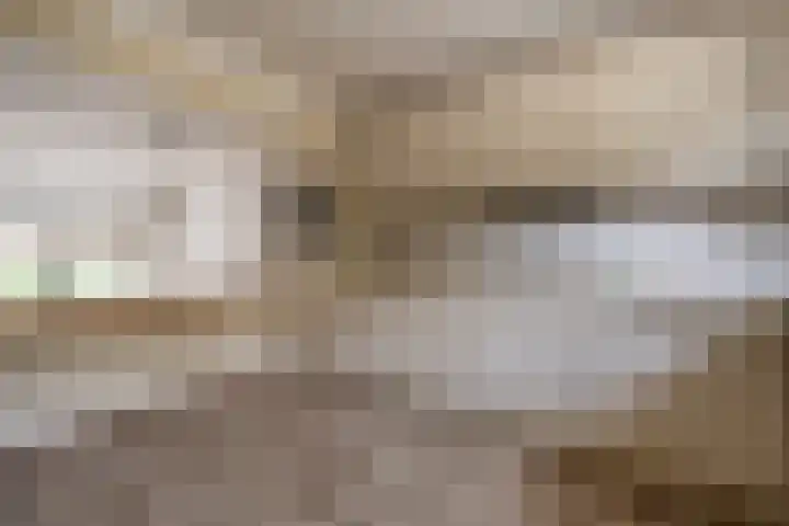 Hoeksedijk 43 Maasdam thumbnail 12