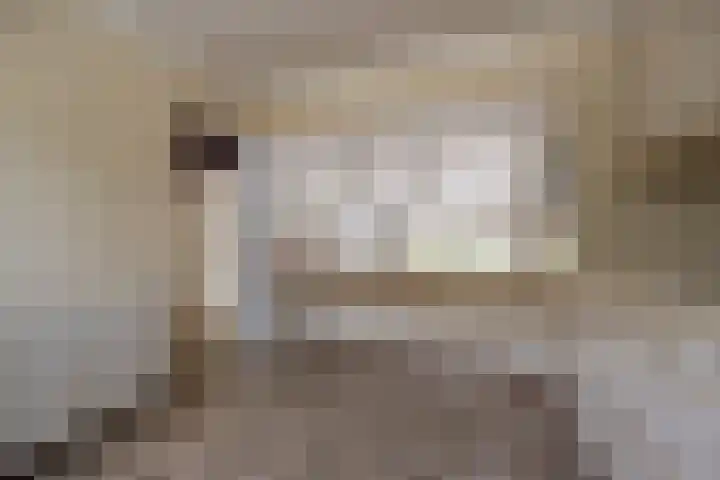 Hoeksedijk 43 Maasdam thumbnail 14