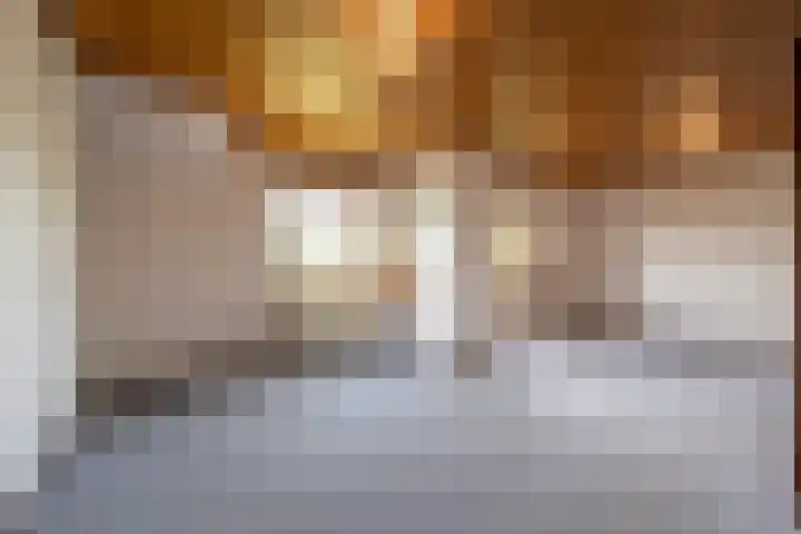 Hoeksedijk 43 Maasdam thumbnail 17