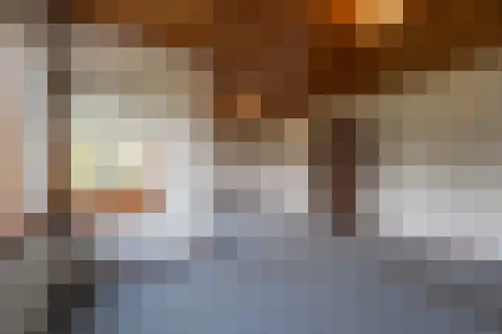 Hoeksedijk 43 Maasdam thumbnail 18