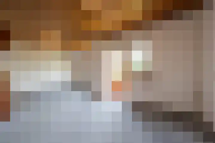Hoeksedijk 43 Maasdam thumbnail 19