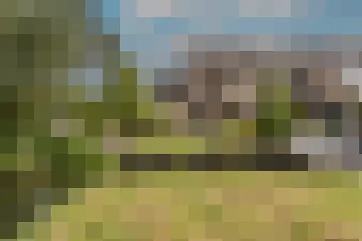 Hoeksedijk 43 Maasdam foto 2