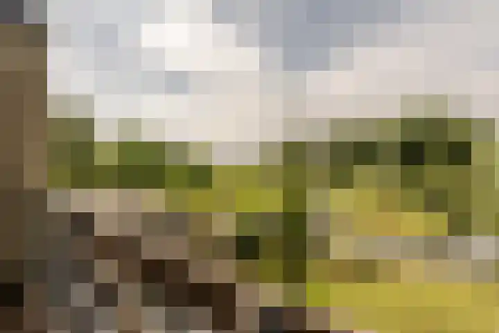 Hoeksedijk 43 Maasdam thumbnail 20